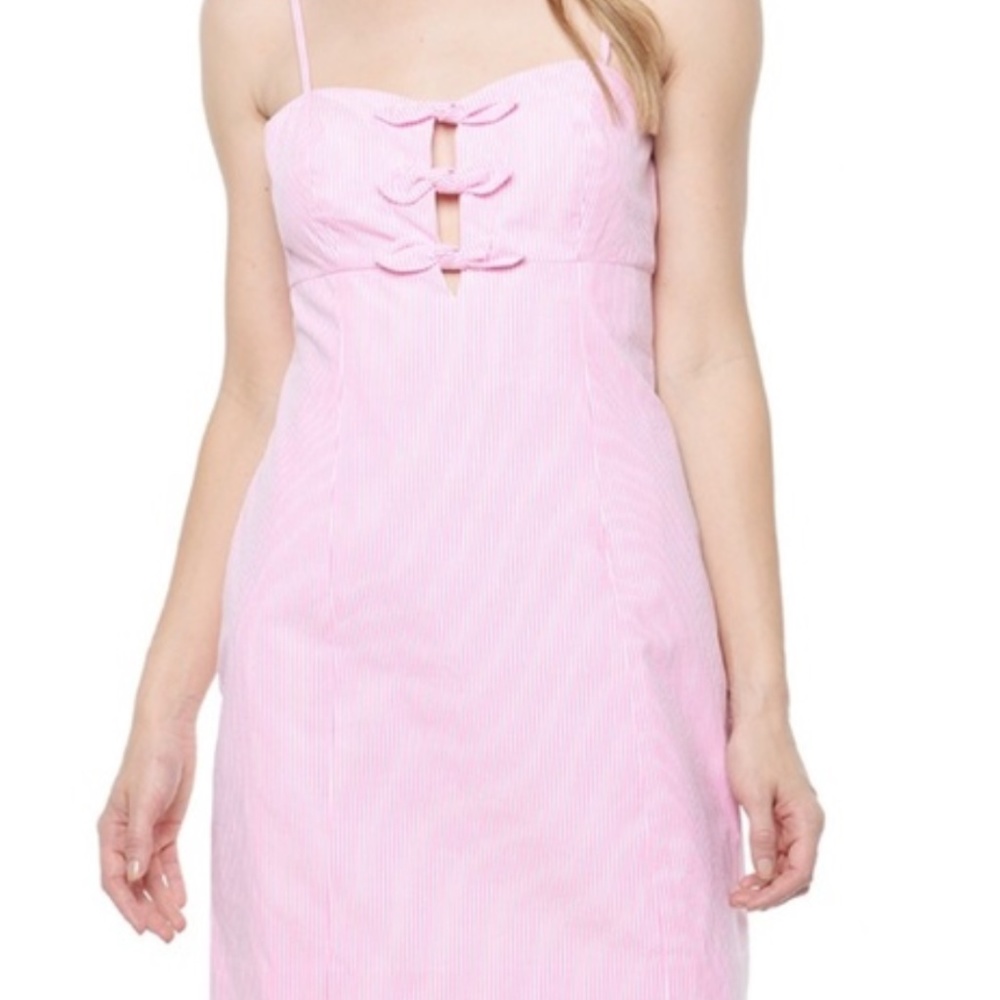 Lilly Pulitzer Petra Pink Striped Seersucker Dress